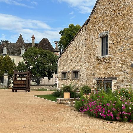 Chateau Du Mauny, Gites Et Chambres D'Hotes En Bourgogne Rosey Ngoại thất bức ảnh