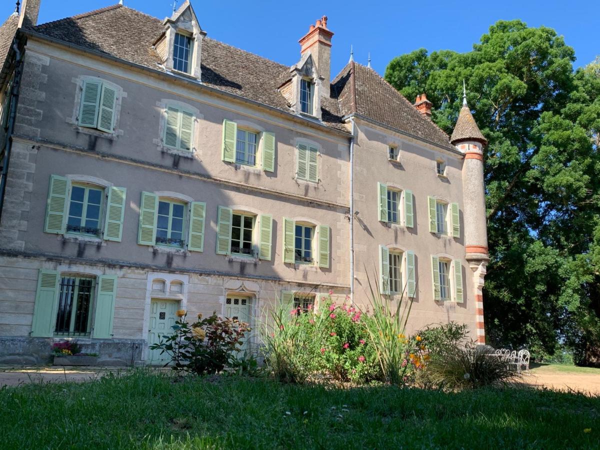 Chateau Du Mauny, Gites Et Chambres D'Hotes En Bourgogne Rosey Ngoại thất bức ảnh
