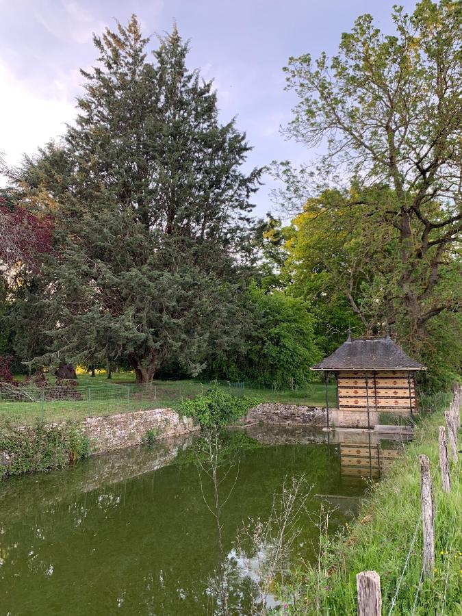 Chateau Du Mauny, Gites Et Chambres D'Hotes En Bourgogne Rosey Ngoại thất bức ảnh