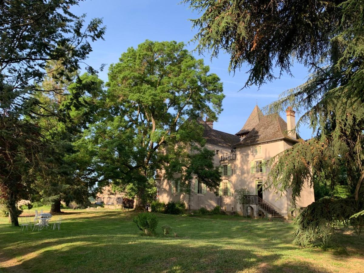 Chateau Du Mauny, Gites Et Chambres D'Hotes En Bourgogne Rosey Ngoại thất bức ảnh