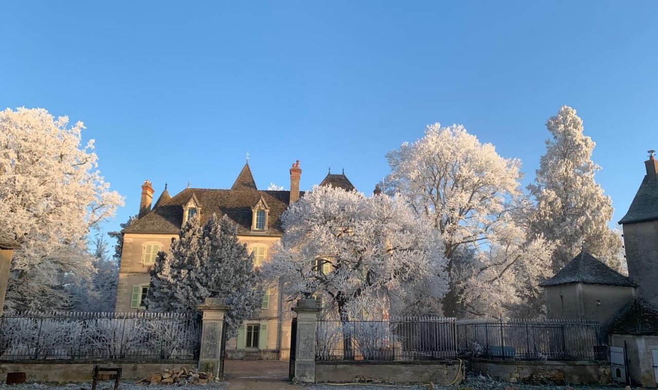Chateau Du Mauny, Gites Et Chambres D'Hotes En Bourgogne Rosey Ngoại thất bức ảnh