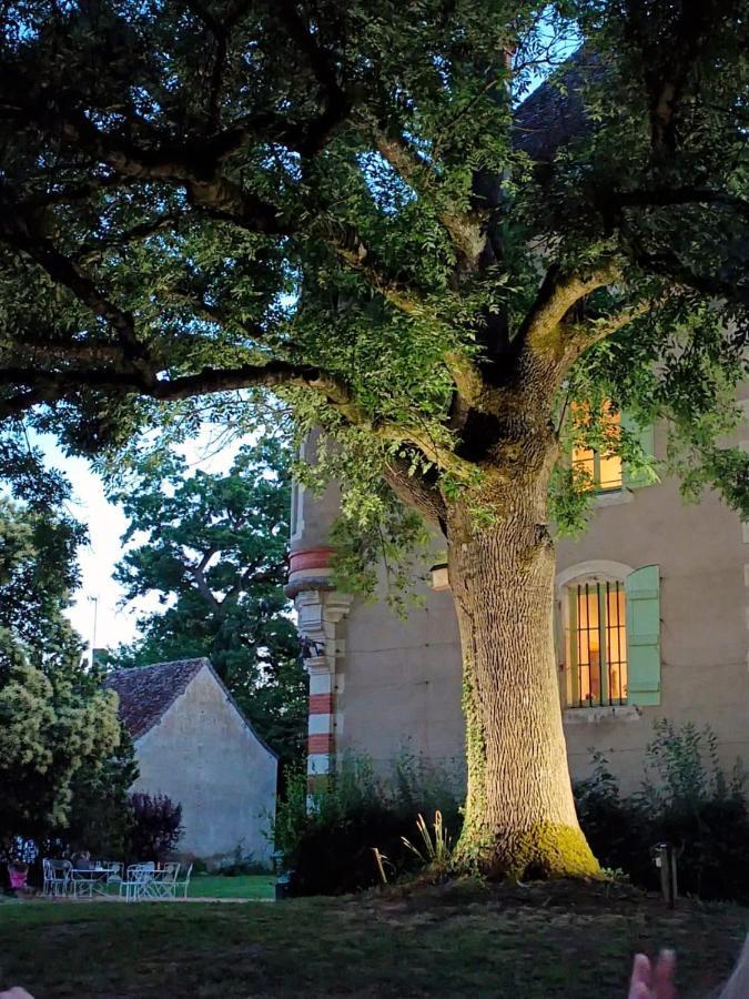 Chateau Du Mauny, Gites Et Chambres D'Hotes En Bourgogne Rosey Ngoại thất bức ảnh
