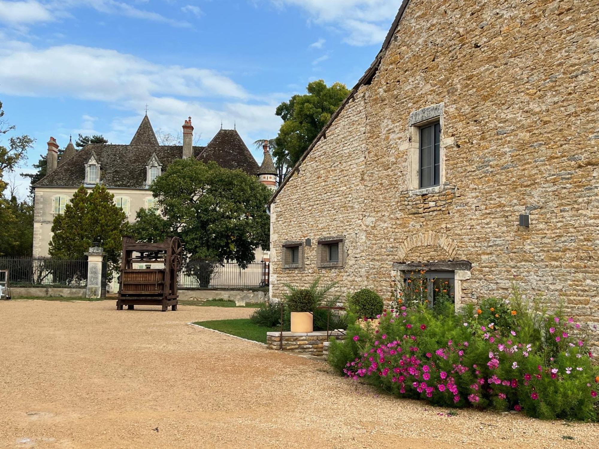 Chateau Du Mauny, Gites Et Chambres D'Hotes En Bourgogne Rosey Ngoại thất bức ảnh